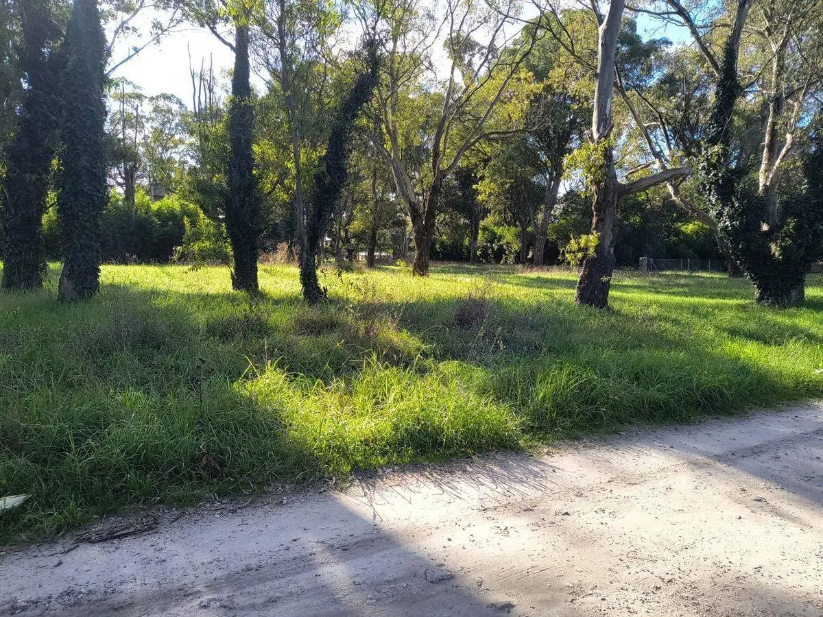 VENTA LOTE 700 MTR2 - SANTA CELINA 8