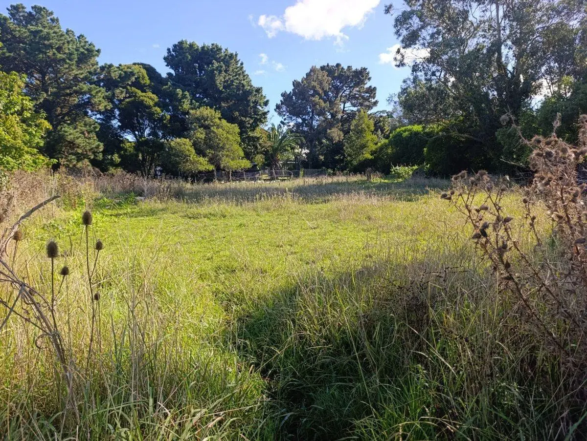 VENTA LOTE SANTA CELINA 600 M2 4