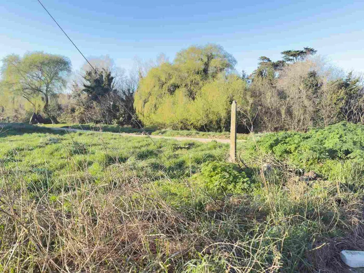 Terreno VENTA Alto Camet 5
