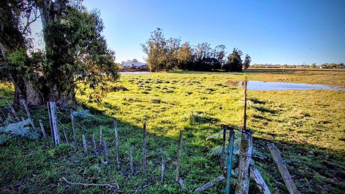 VENTA Lote - Quinta 10.000 m2 (54,80 x 182,40) 2