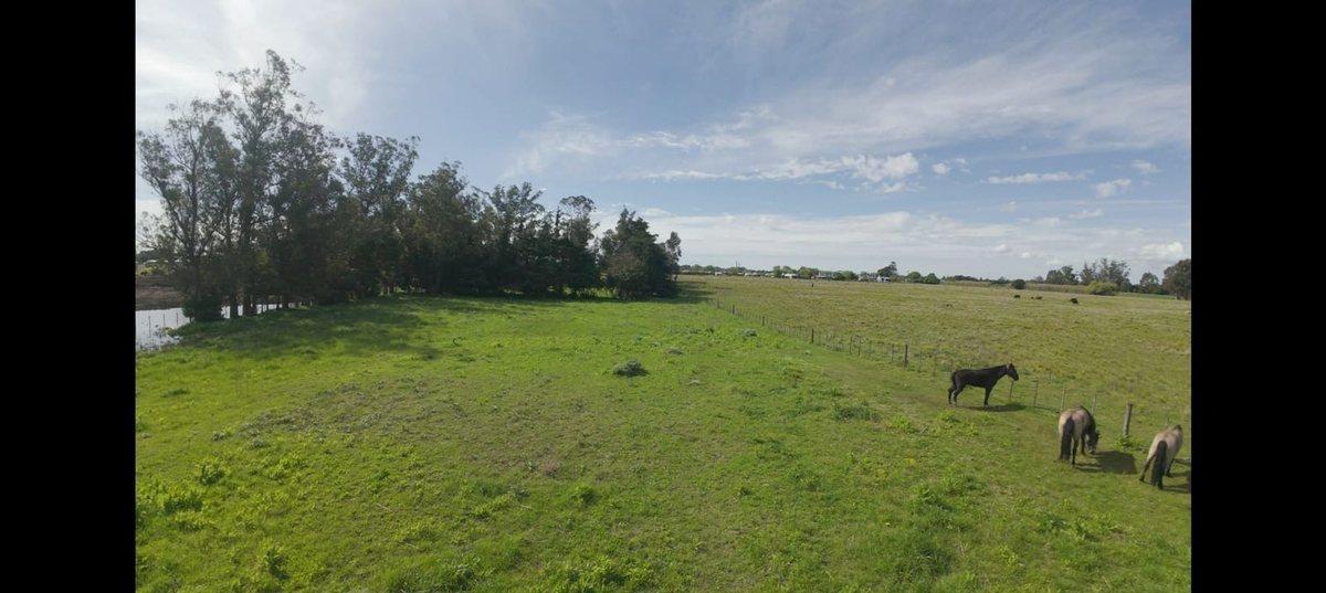 VENTA Lote - Quinta 10.000 m2 (54,80 x 182,40)