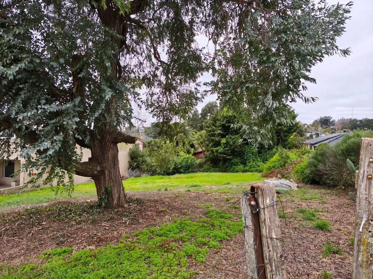 Venta Lote 600 m2 Sierra de los Padres 4