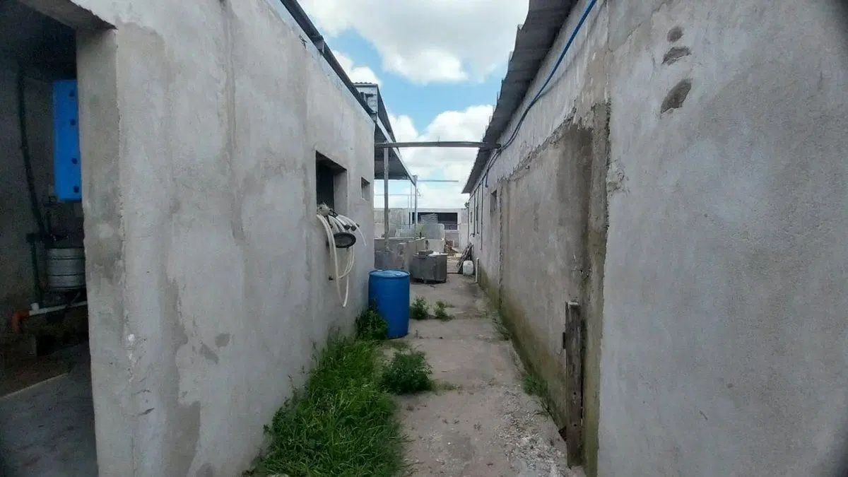 Alquiler de Campo de 11 hectáreas en El Casal 5
