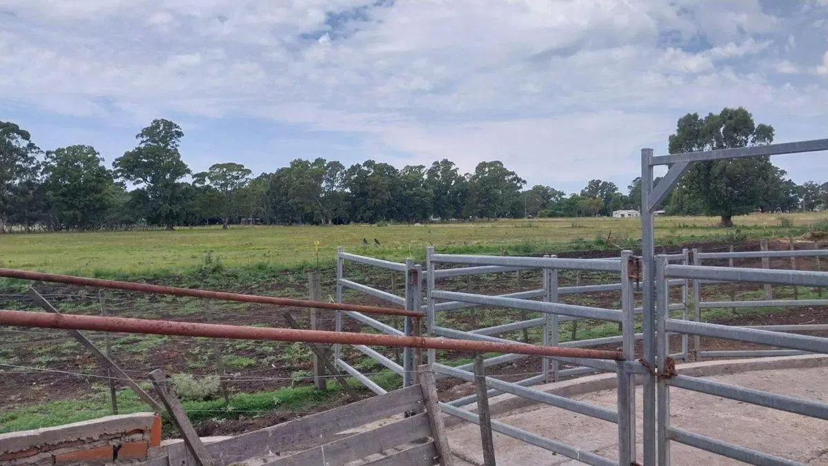 Venta de Campo de 11 hectáreas en El Casal 8