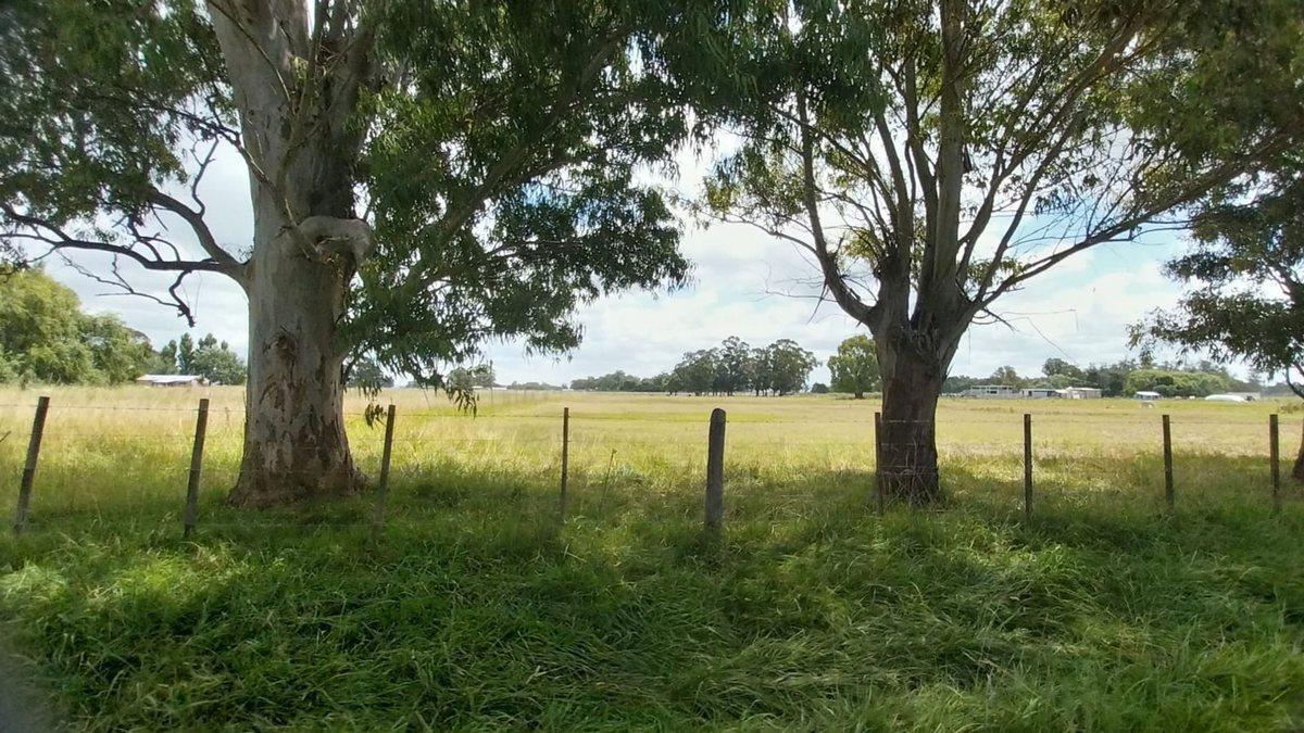 Foto de Venta de Campo de 11 hectáreas en El Casal, imagen 3