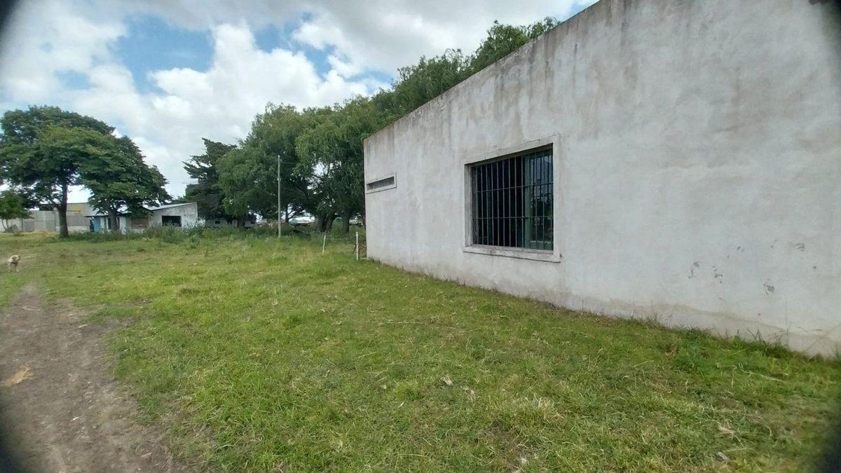 Foto de Venta de Campo de 11 hectáreas en El Casal, imagen 2