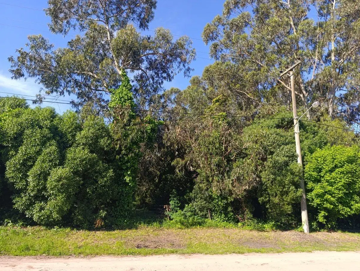 Venta Lote Barrio Santa Celina 5