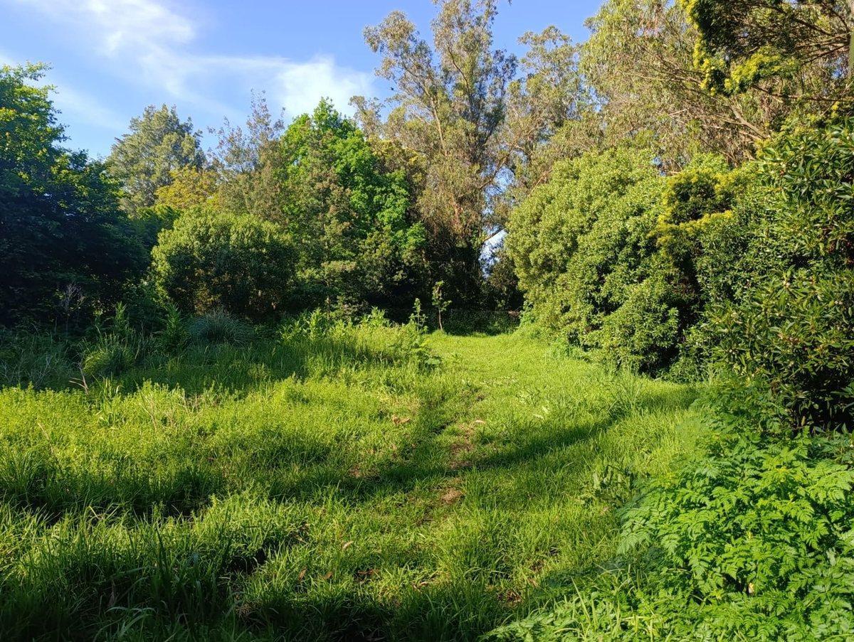 Foto de Venta Lote Barrio Santa Celina, imagen 2