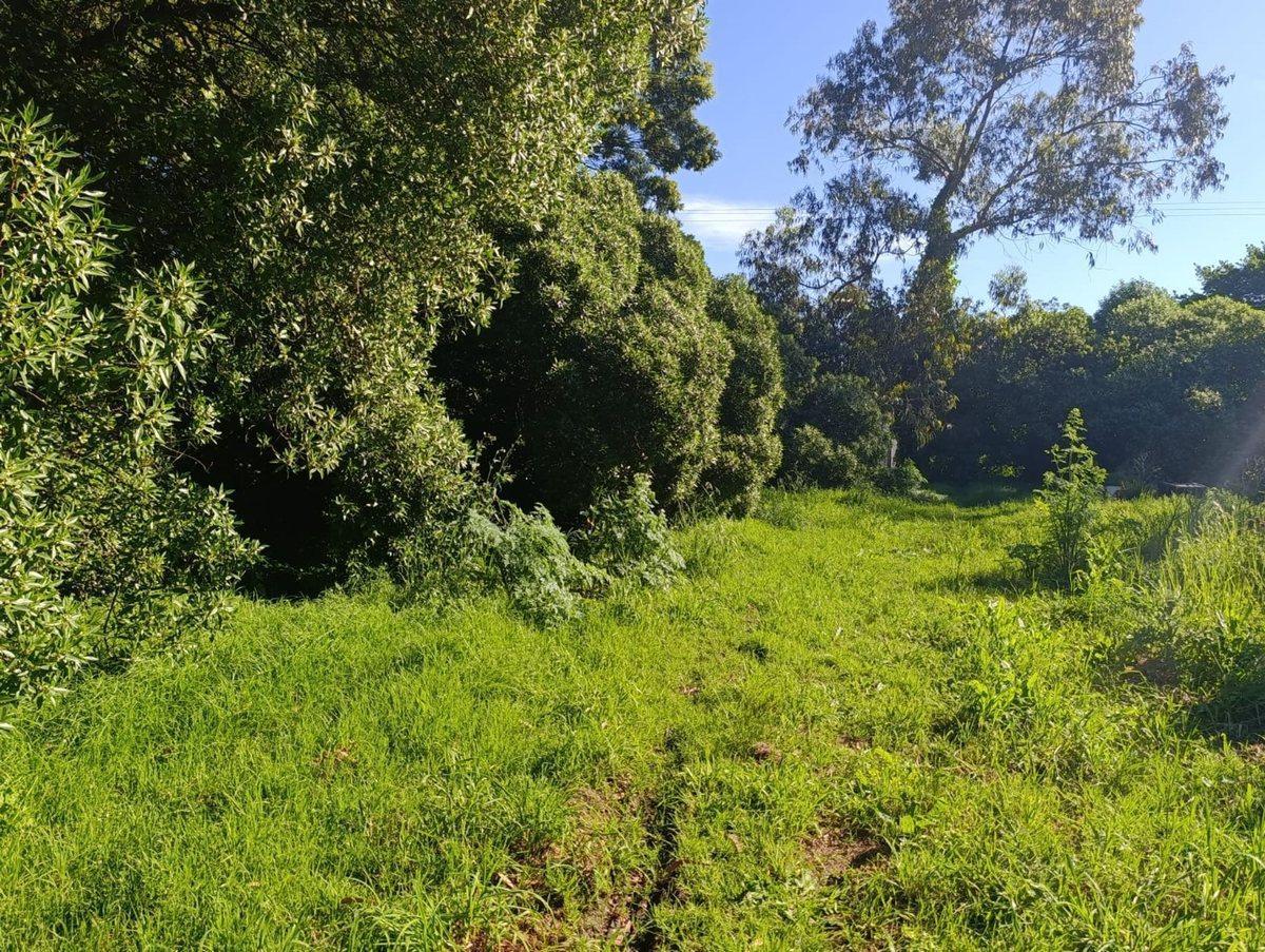 Foto de Venta Lote Barrio Santa Celina, imagen 1