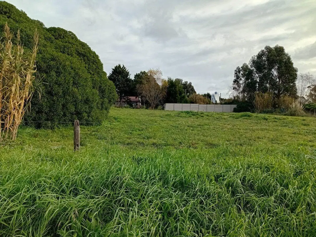 VENTA TERRENO 943M2 COLONIAS CHAPADMALAL MDP 5