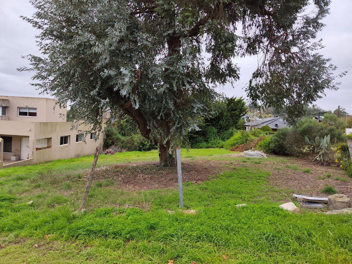 Foto de Venta Lote 600 m2 Sierra de los Padres, imagen 2