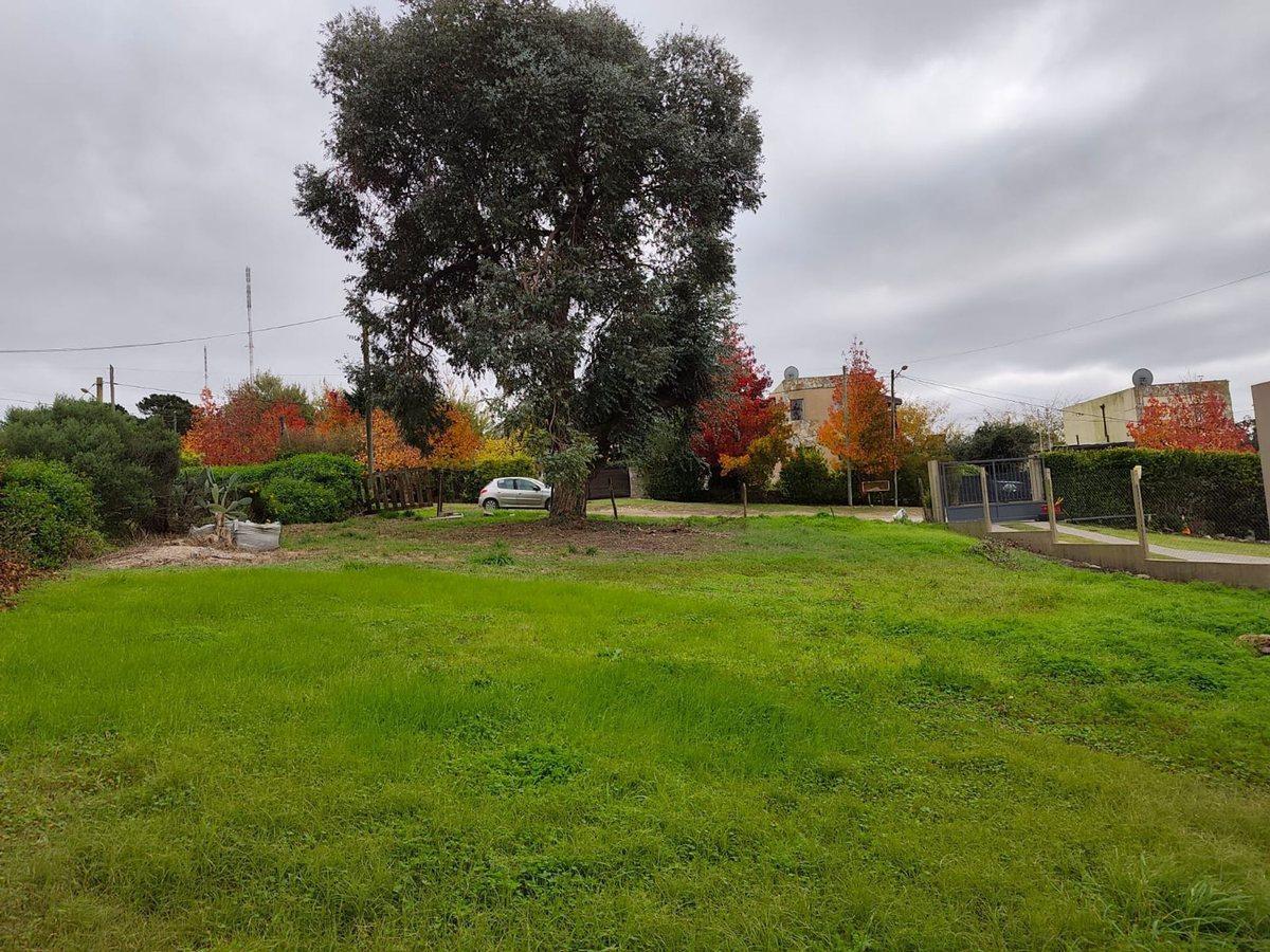 Foto de Venta Lote 600 m2 Sierra de los Padres, imagen 5