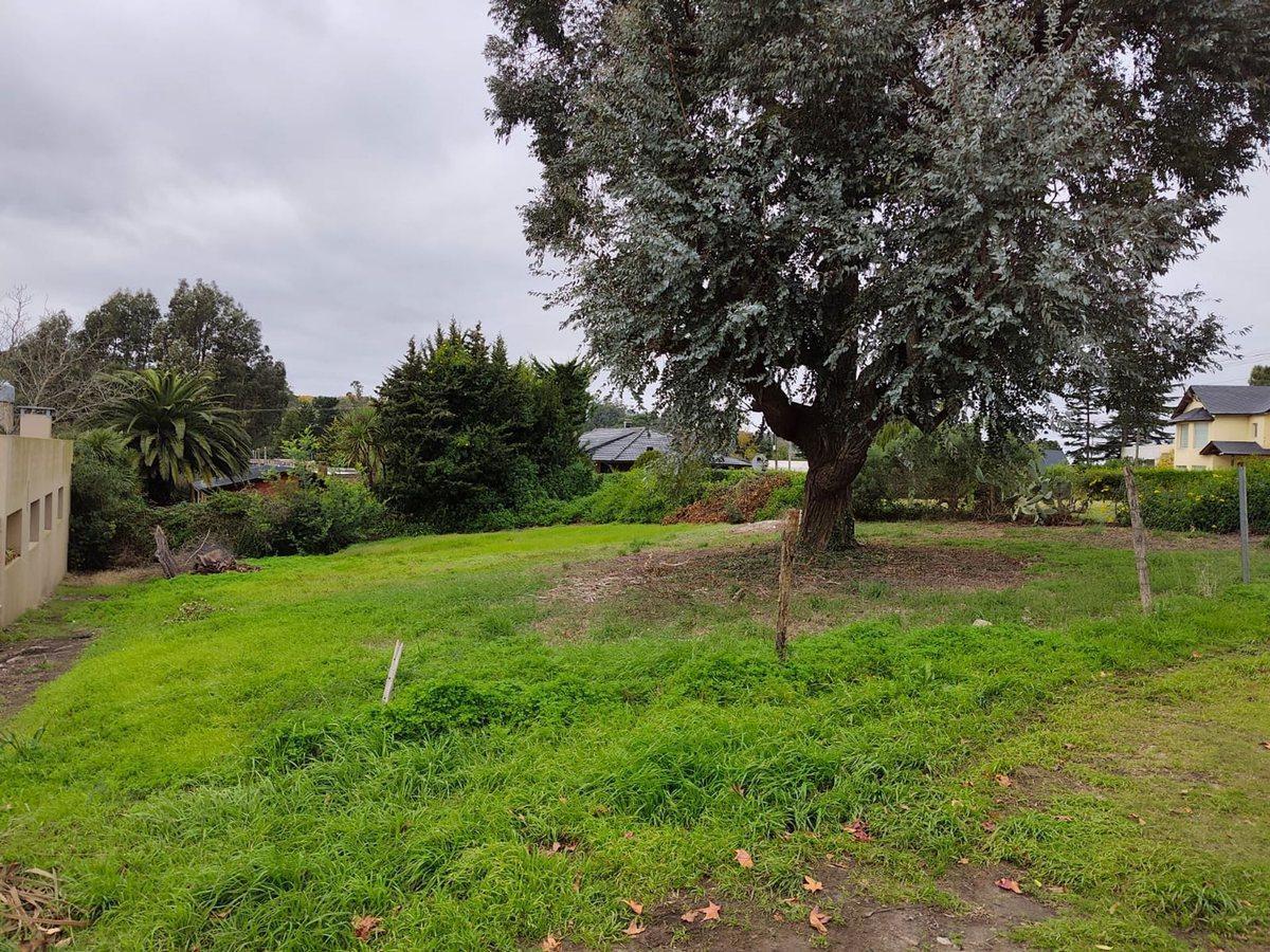 Foto de Venta Lote 600 m2 Sierra de los Padres, imagen 4