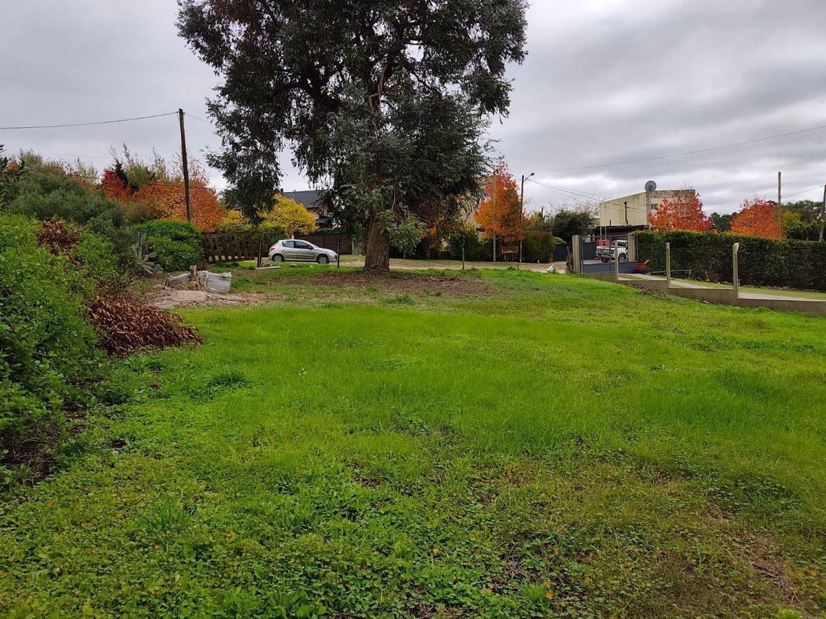 Foto de Venta Lote 600 m2 Sierra de los Padres, imagen 3
