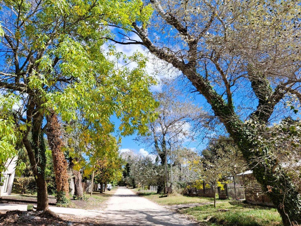 Foto de VENTA CASA 5 AMBIENTES A ESTRENAR COLINA ALEGRE, imagen 4