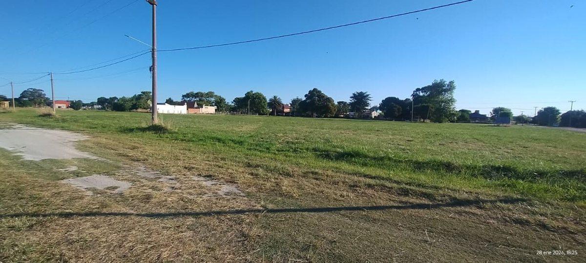 Foto de VENTA IMPORTANTE LOTE MAR CHIQUITA 450 M2, imagen 3