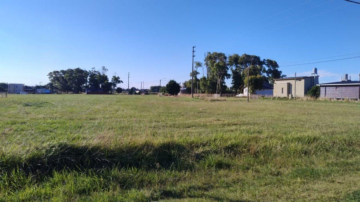 Foto de VENTA IMPORTANTE LOTE MAR CHIQUITA 450 M2, imagen 4
