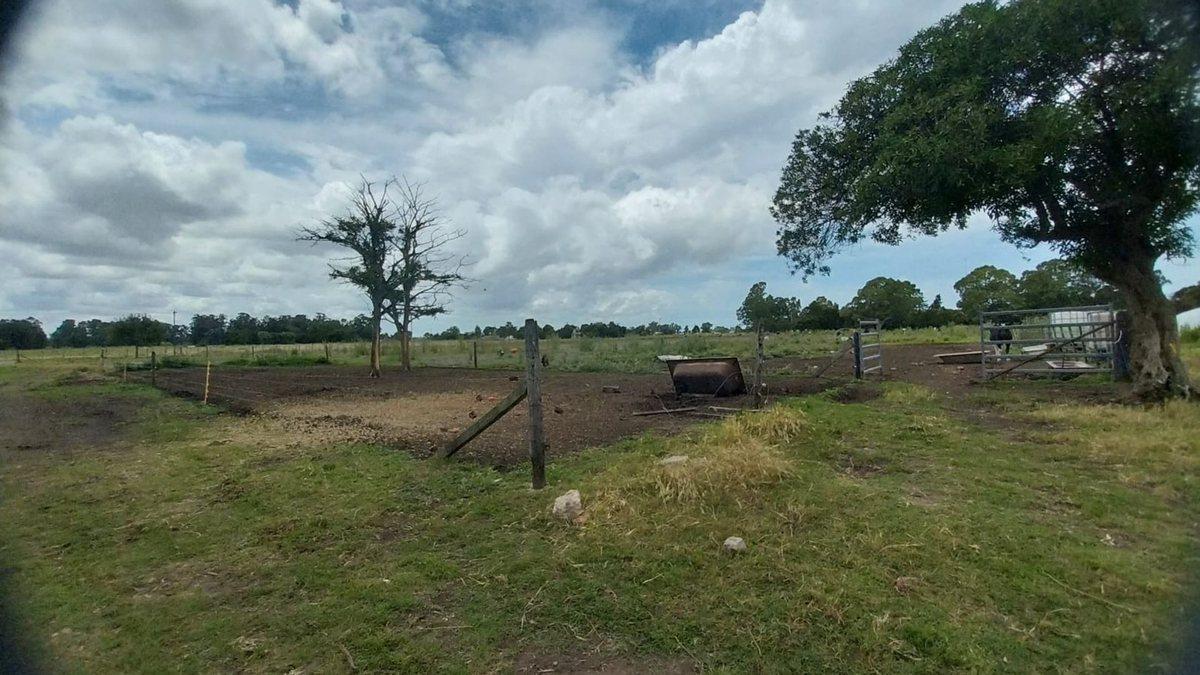Foto de Venta de Campo de 11 hectáreas en El Casal, imagen 5