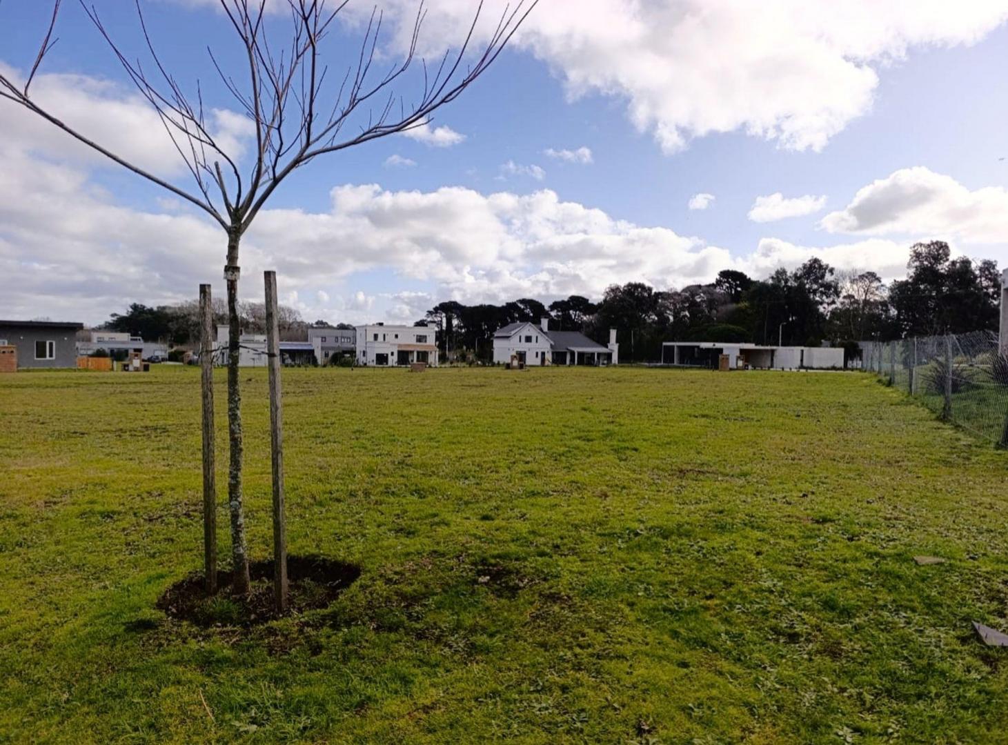 Foto de VENTA LOTE 633M2 ARENAS CHICO, imagen 5
