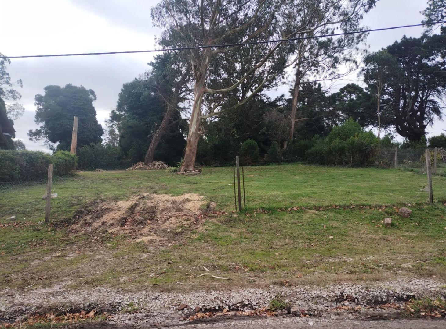 Foto de Venta lote Sierra de los Padres, imagen 5