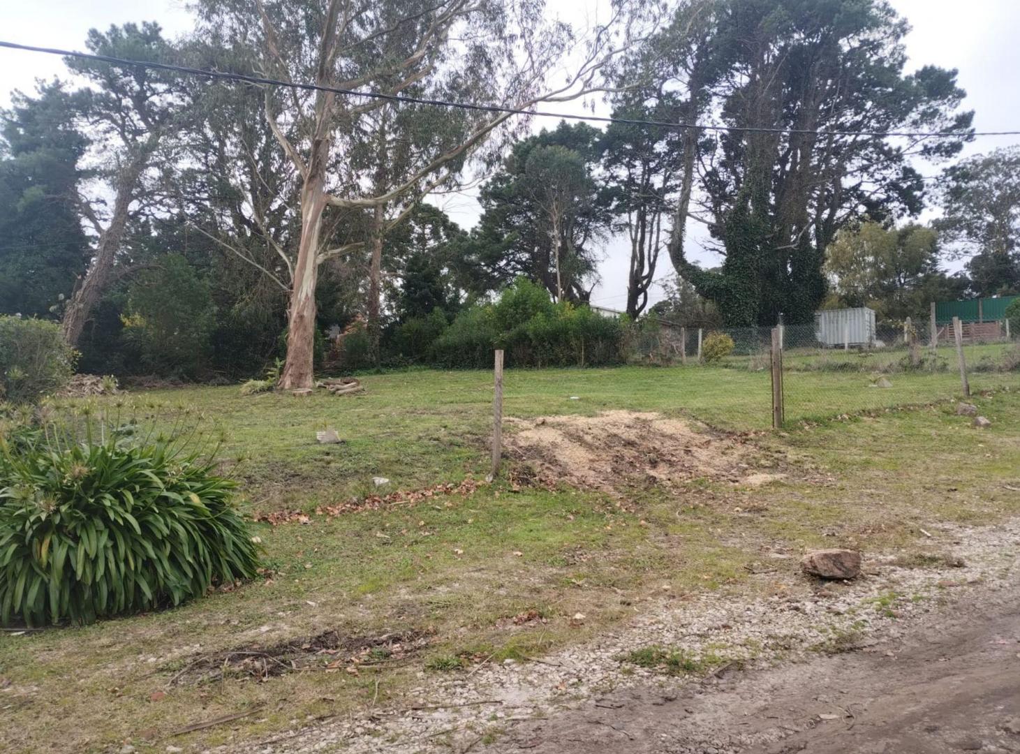 Foto de Venta lote Sierra de los Padres, imagen 3