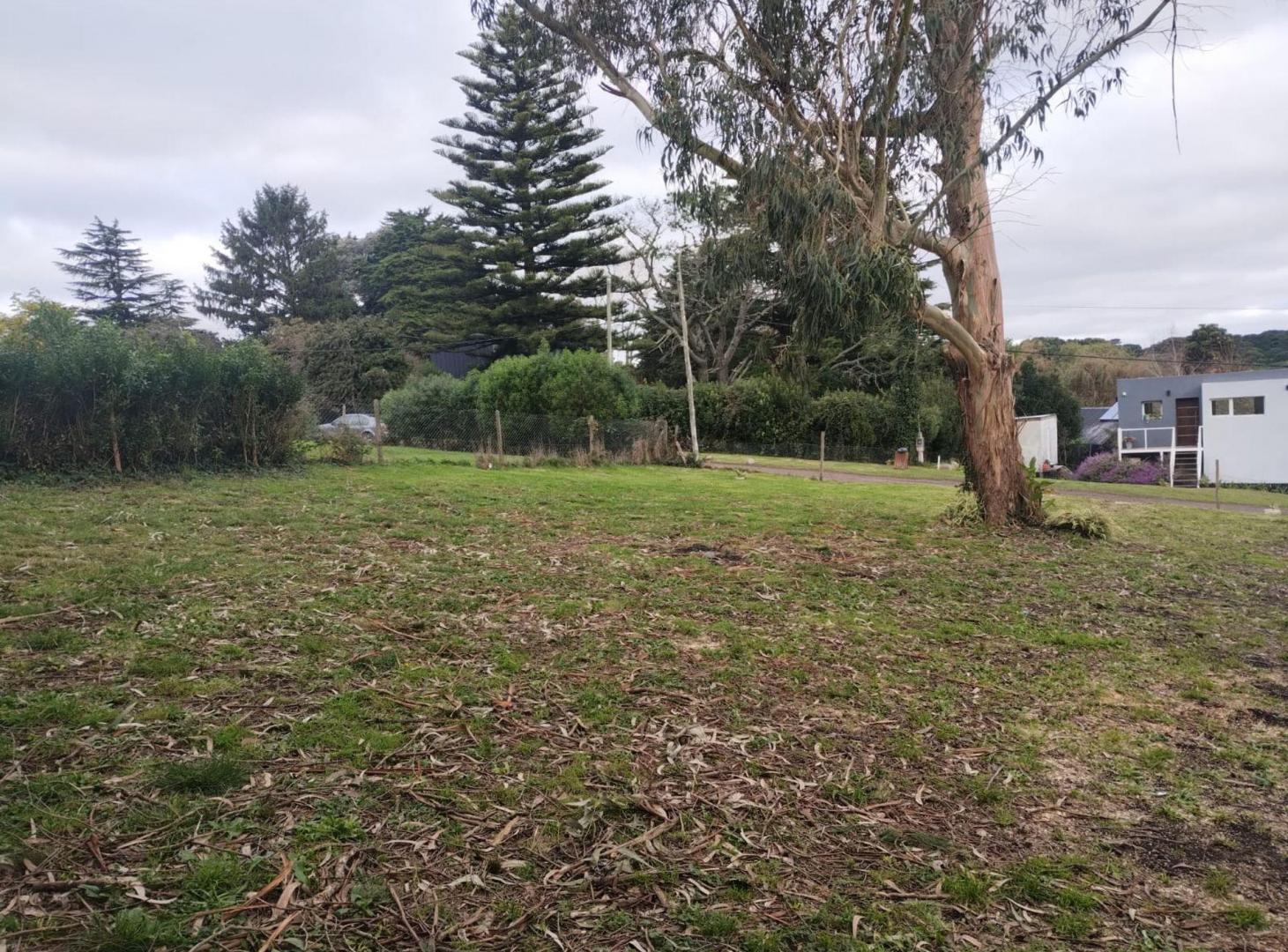 Foto de Venta lote Sierra de los Padres, imagen 4