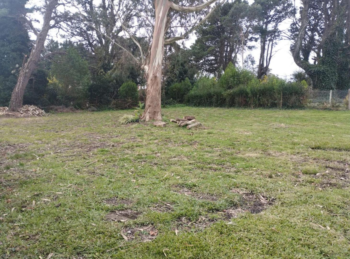 Foto de Venta lote Sierra de los Padres, imagen 2
