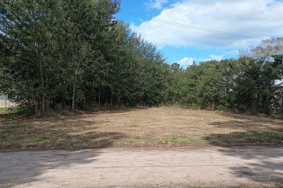 Foto de VENTA LOTE FELIX U CAMET 252 M2, imagen 4