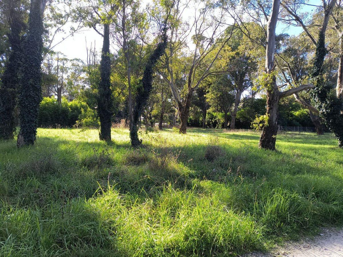 Foto de VENTA LOTE 700 MTR2 - SANTA CELINA, imagen 2