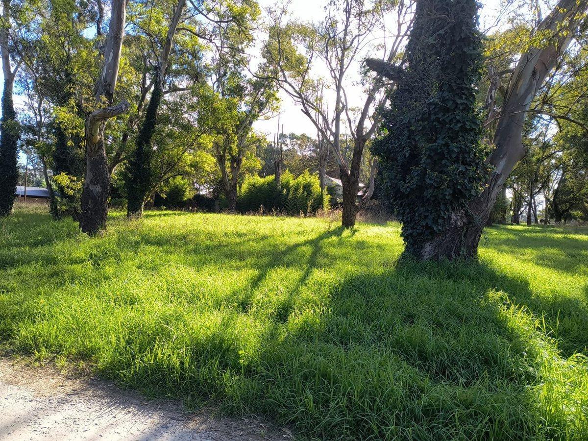Foto de VENTA LOTE 700 MTR2 - SANTA CELINA, imagen 3