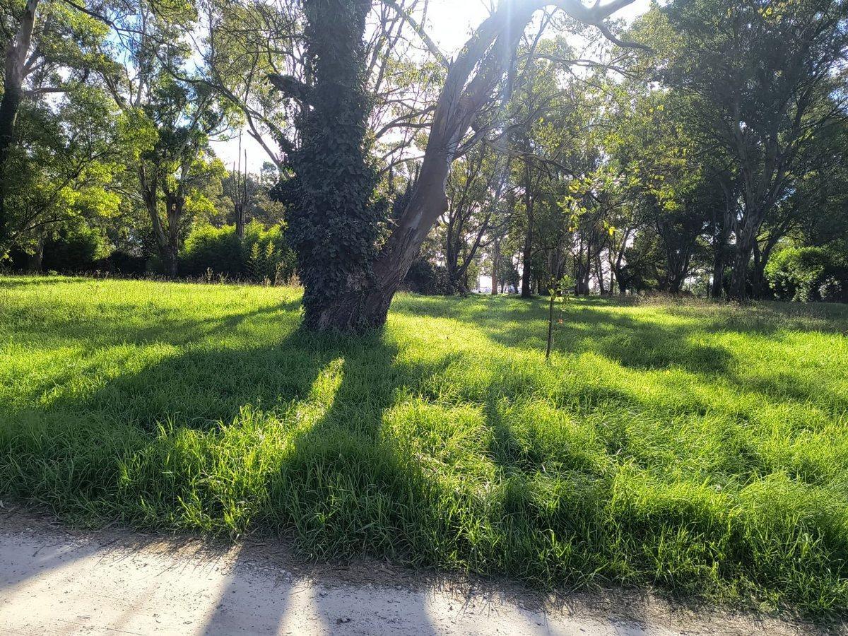 Foto de VENTA LOTE 700 MTR2 - SANTA CELINA, imagen 5