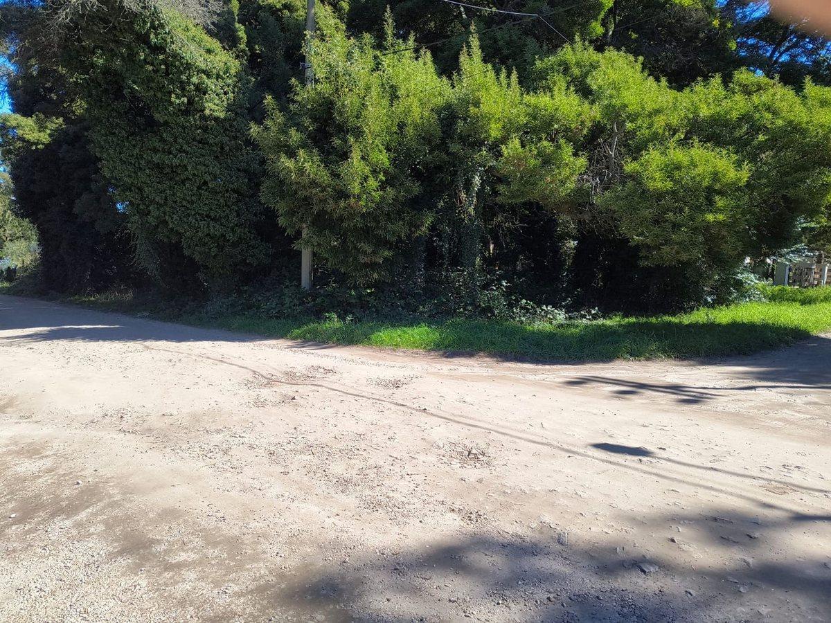 Foto de VENTA LOTE 737 MTR2 - SANTA CELINA / MAR DEL PLATA, imagen 4