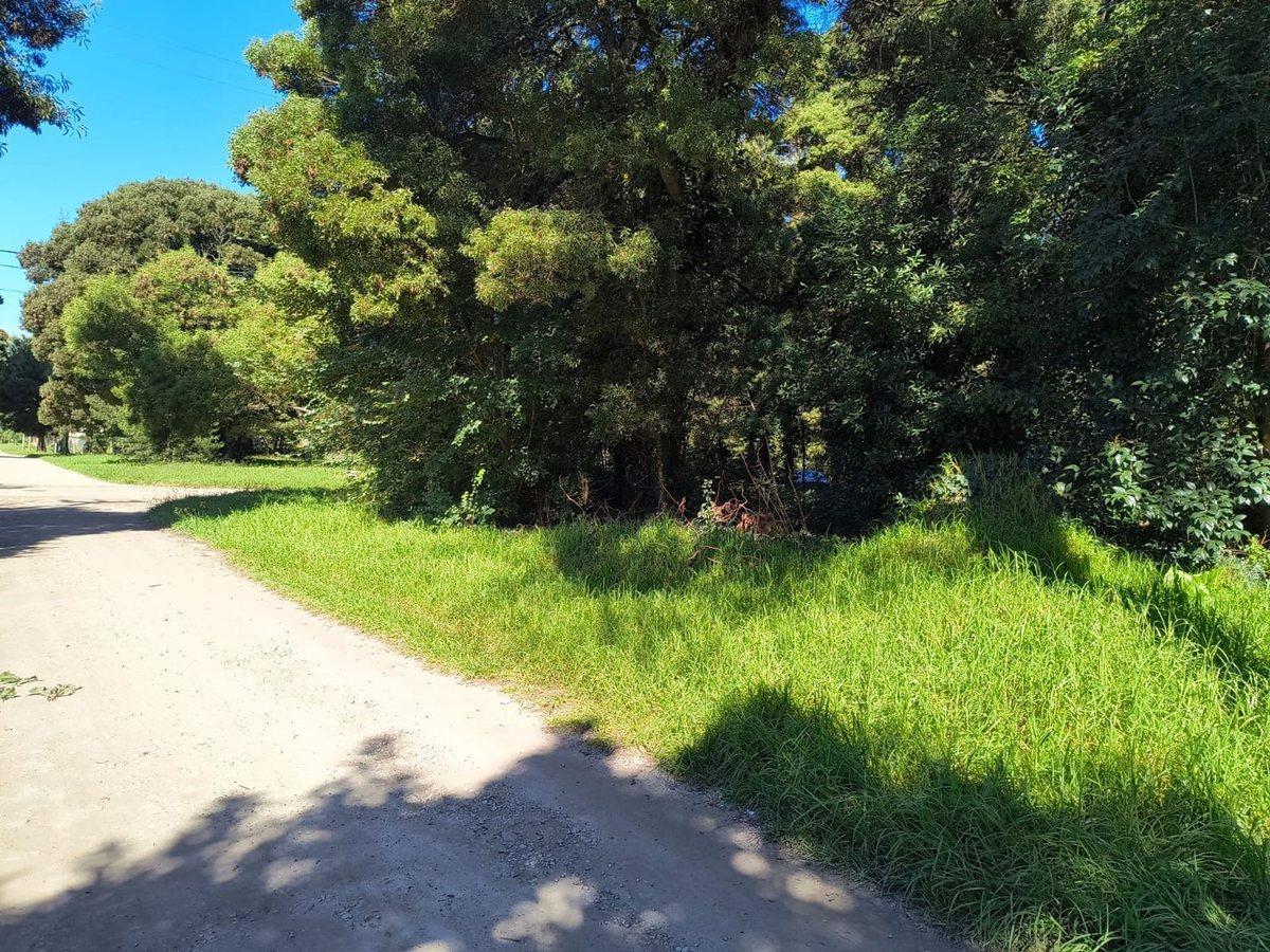Foto de VENTA LOTE 737 MTR2 - SANTA CELINA / MAR DEL PLATA, imagen 5