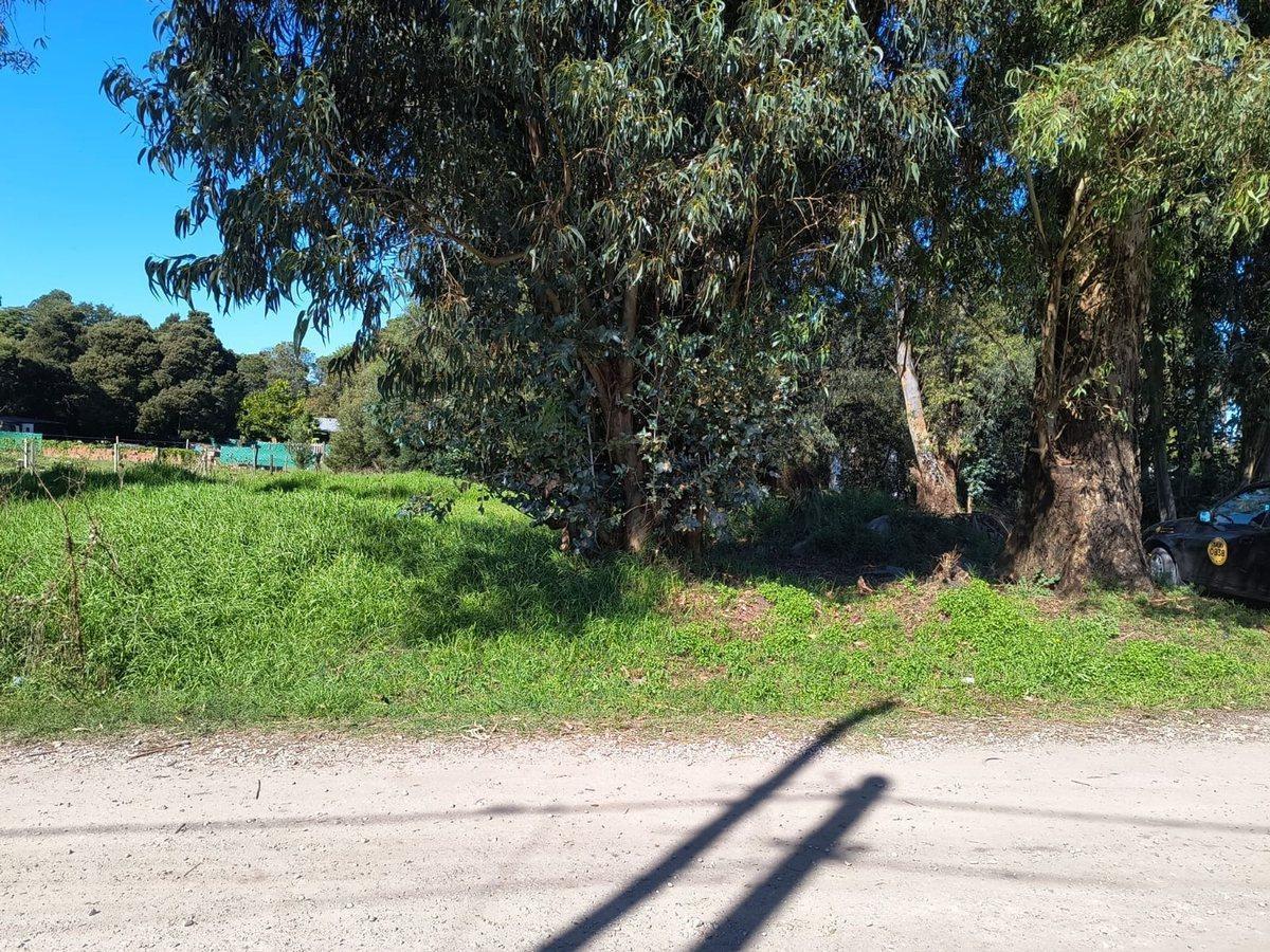 Foto de VENTA LOTE 700 MTR2 - SANTA CELINA, imagen 1