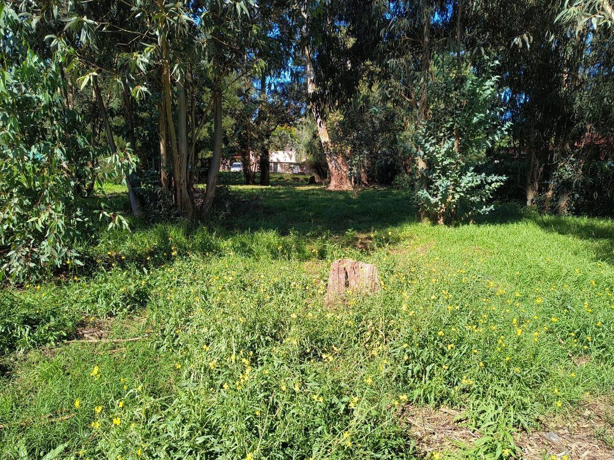 Foto de VENTA LOTE 700 MTR2 - SANTA CELINA, imagen 2