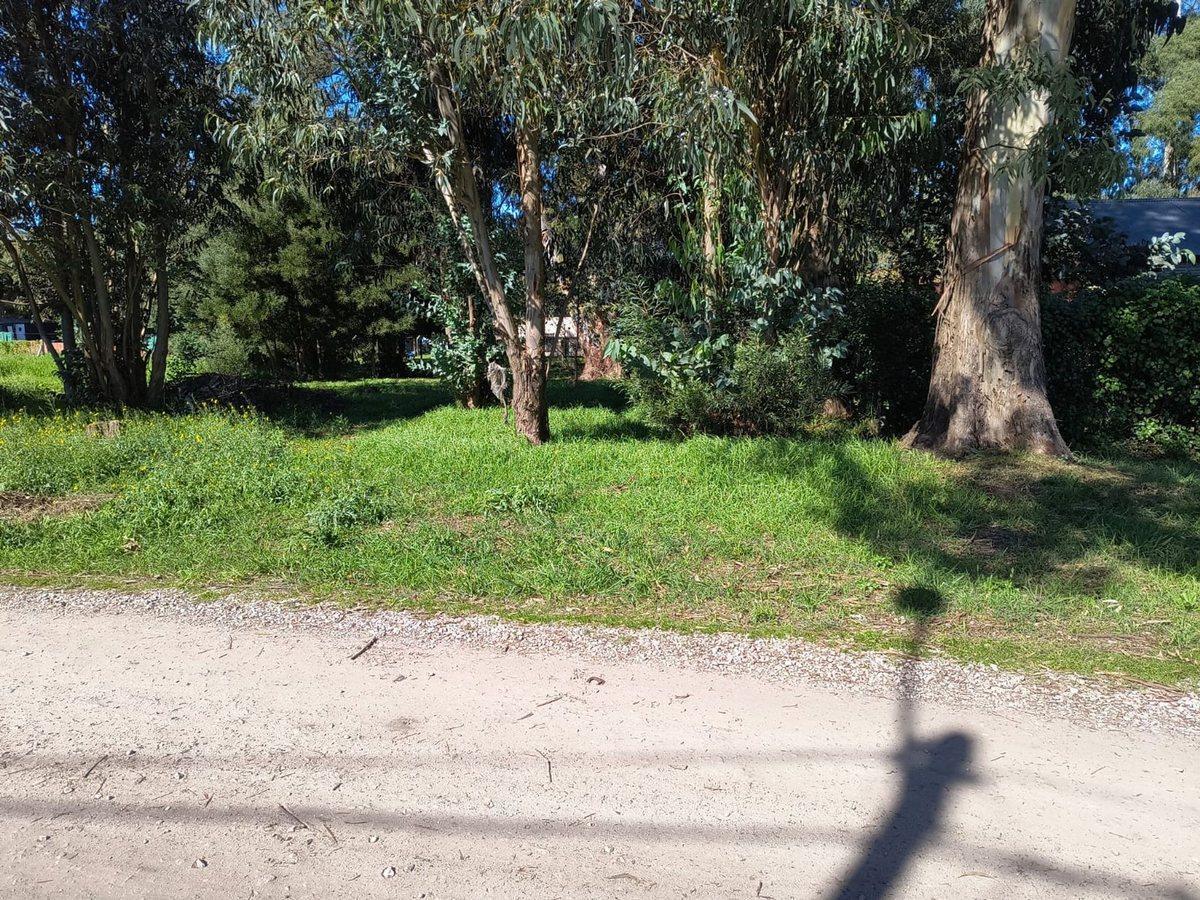 Foto de VENTA LOTE 700 MTR2 - SANTA CELINA, imagen 5