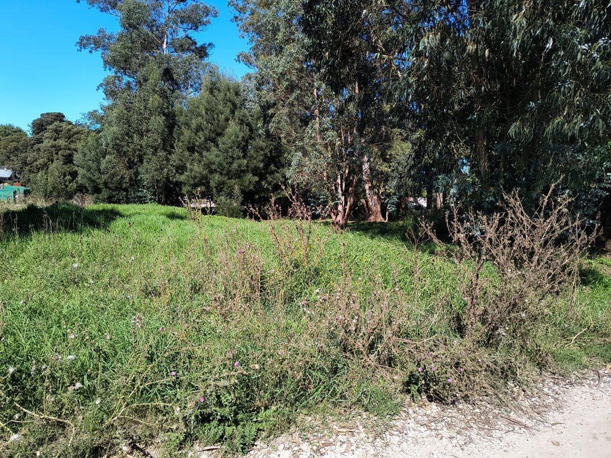 Foto de VENTA LOTE 700 MTR2 - SANTA CELINA, imagen 3