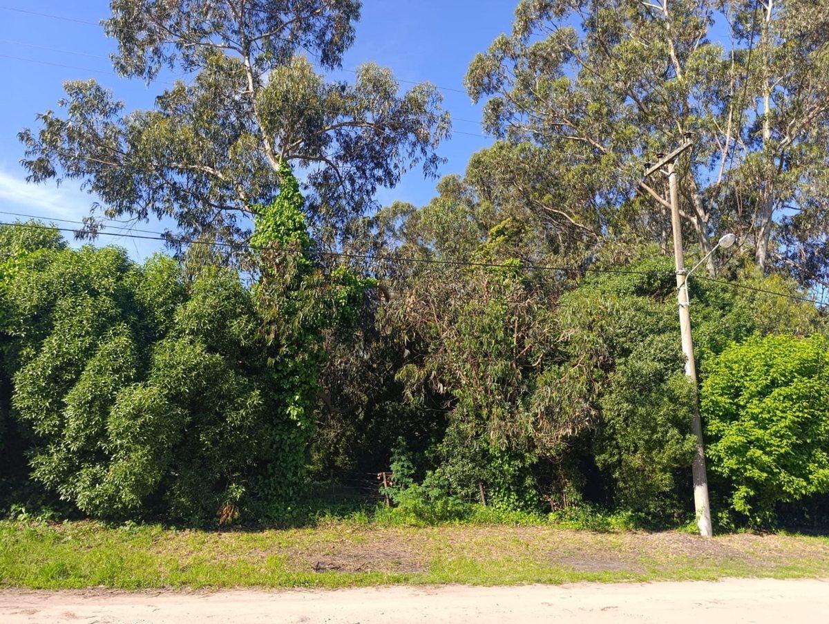Venta Lote Barrio Santa Celina