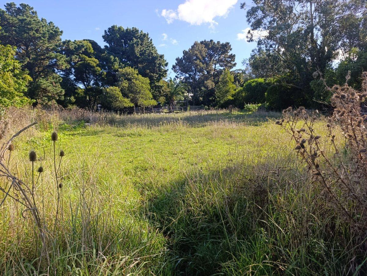 Foto de VENTA LOTE SANTA CELINA 600 M2, imagen 5