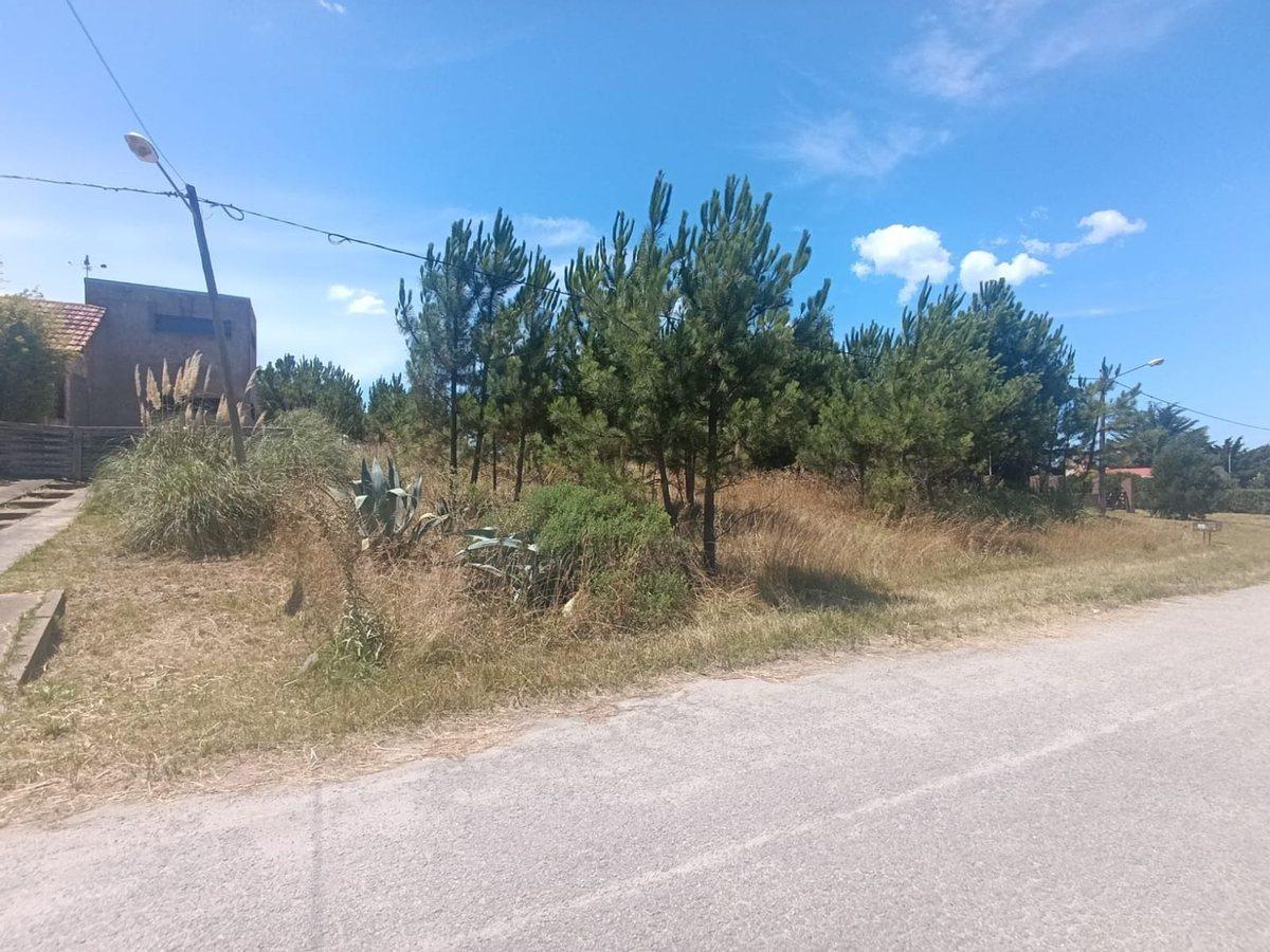 Foto de Venta de Dos Lotes de 750m2 en El Marquesado, imagen 2