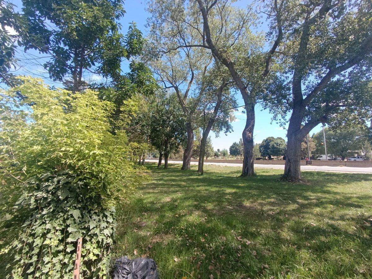 Foto de Venta Lote 647m2 en Batan, imagen 4