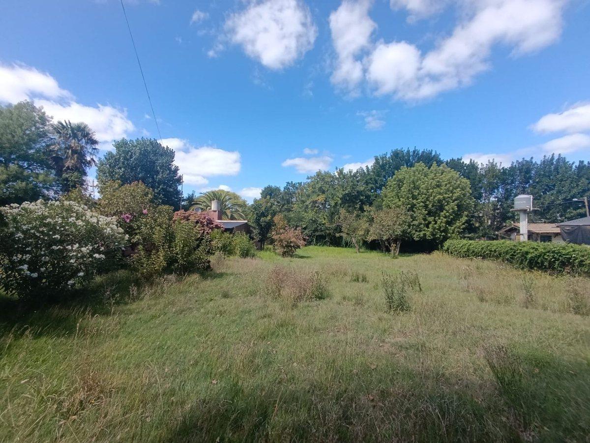 Foto de Venta Lote 647m2 en Batan, imagen 1