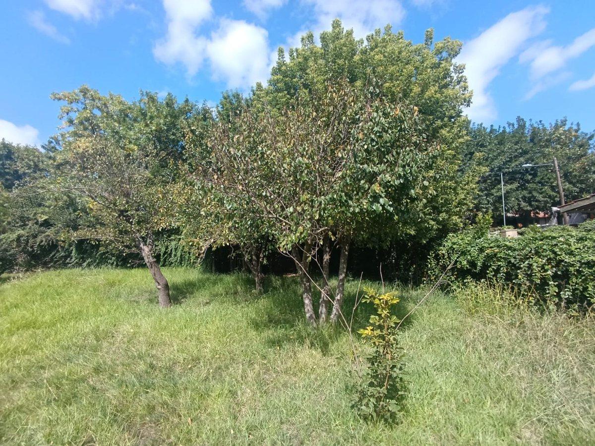 Foto de Venta Lote 647m2 en Batan, imagen 5