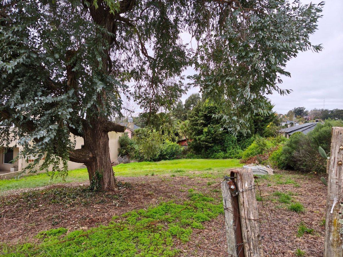 Foto de Venta Lote 600 m2 Sierra de los Padres, imagen 4