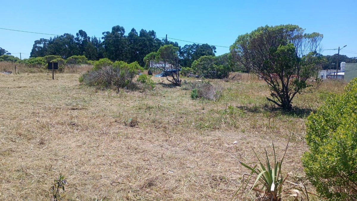 Foto de VENTA LOTE 465 MTR2 EN CHAPADMALAL, imagen 4