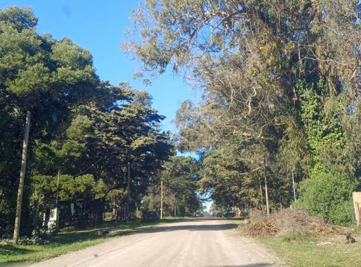 Foto de VENTA LOTE 311 M2 PARQUE BRISTOL MIRAMAR, imagen 3