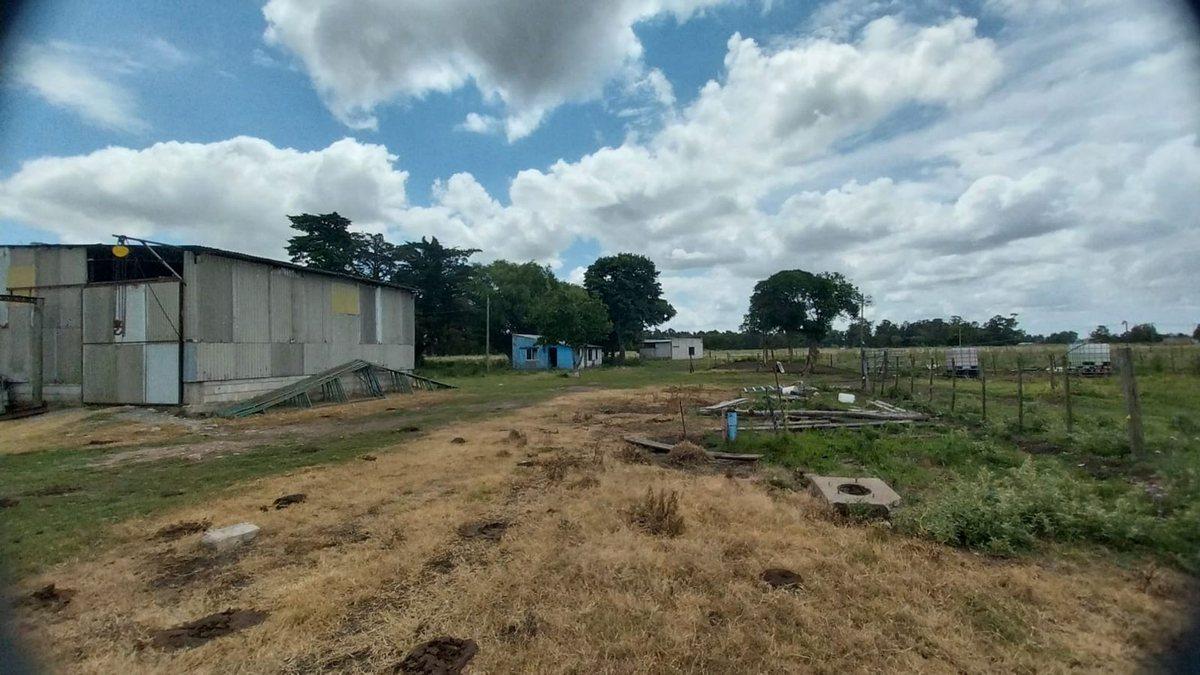 Foto de Alquiler de Campo de 11 hectáreas en El Casal, imagen 5