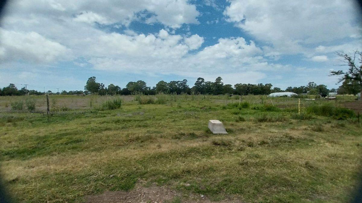Foto de Alquiler de Campo de 11 hectáreas en El Casal, imagen 3