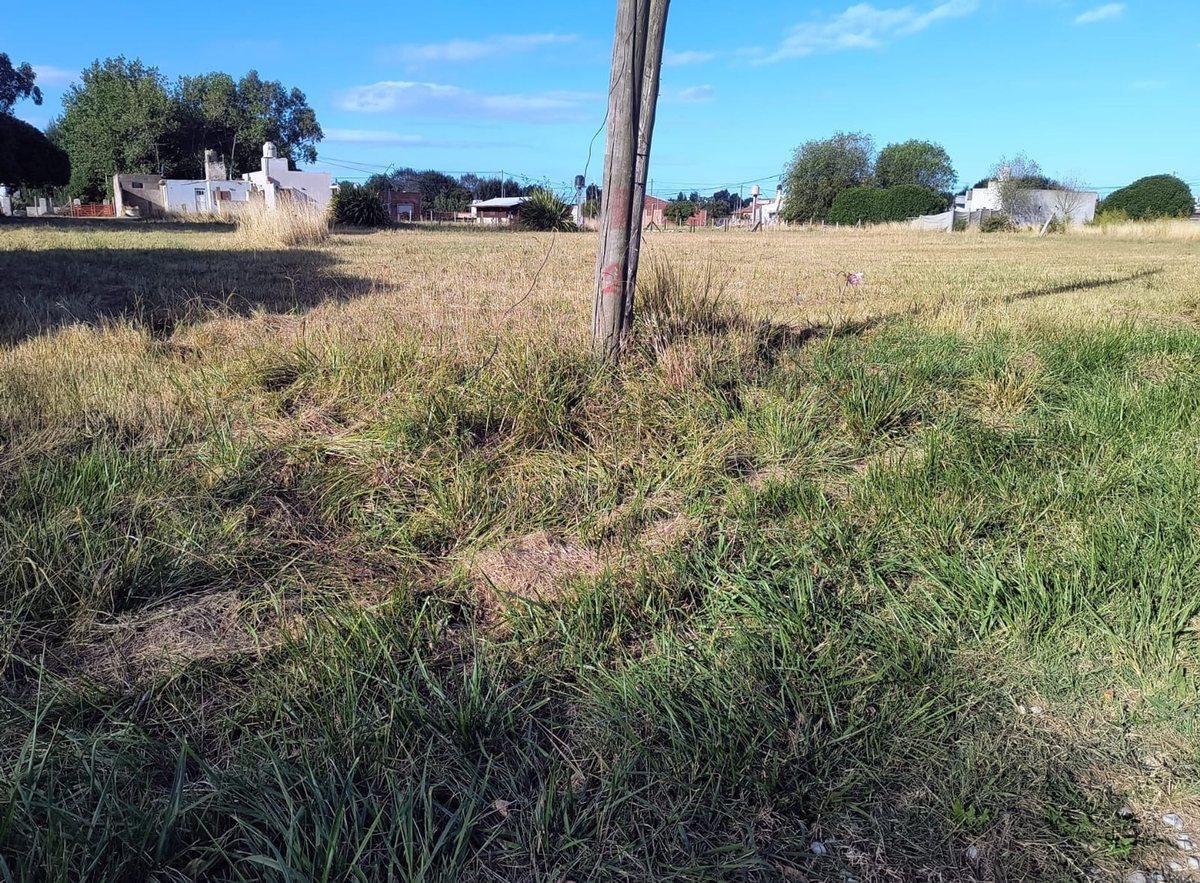 Foto de VENTA LOTE 429 MTR2 - SANTA CLARA DEL MAR, imagen 3