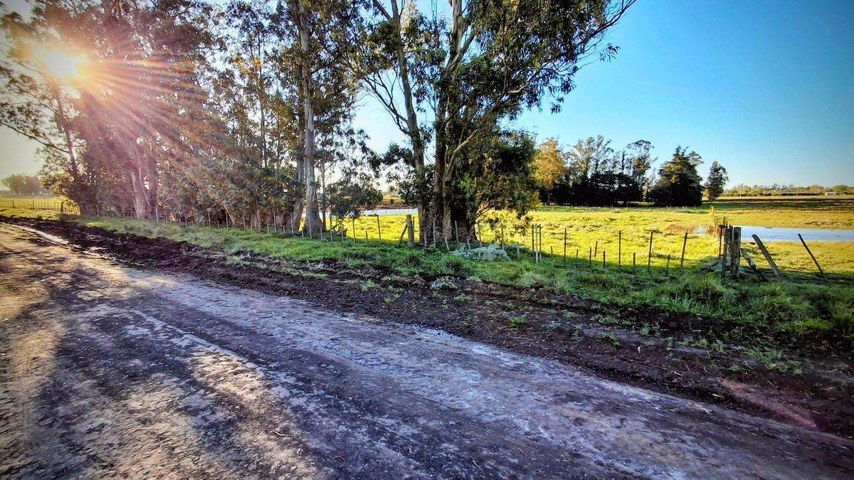Foto de VENTA Lote - Quinta 10.000 m2 (54,80 x 182,40), imagen 3
